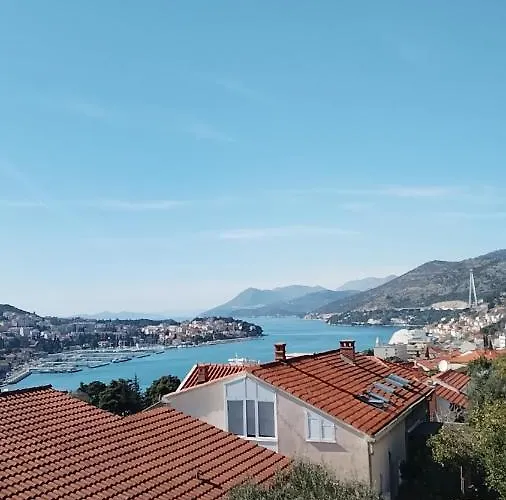 Megi * دوبروفينك